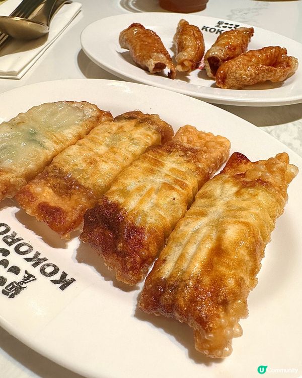 日本撈麵過江龍🇯🇵超彈牙即日手製麵條！爆汁雞皮餃子😍