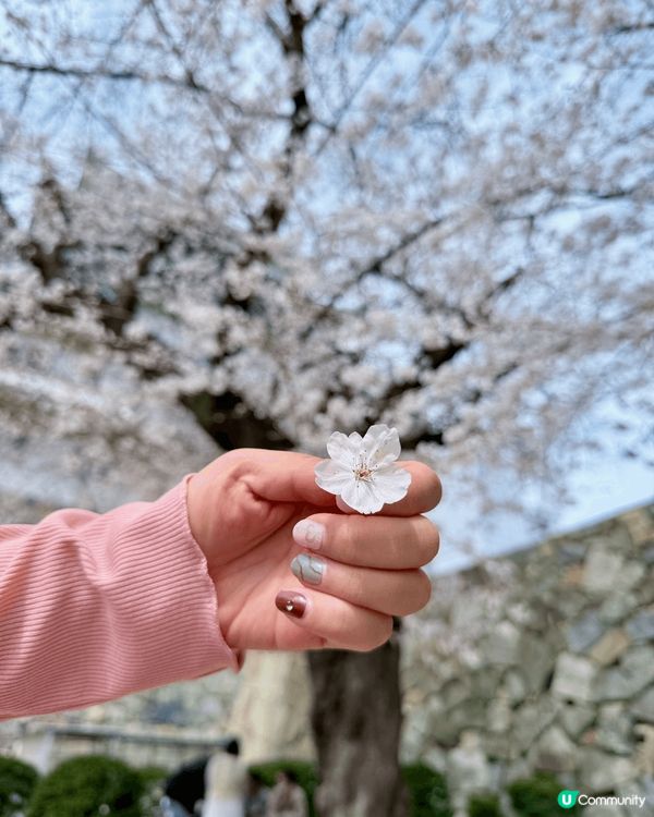 平時無整開指甲，但一去旅行就想d指甲都靚啲😂😂所以我會用指甲...