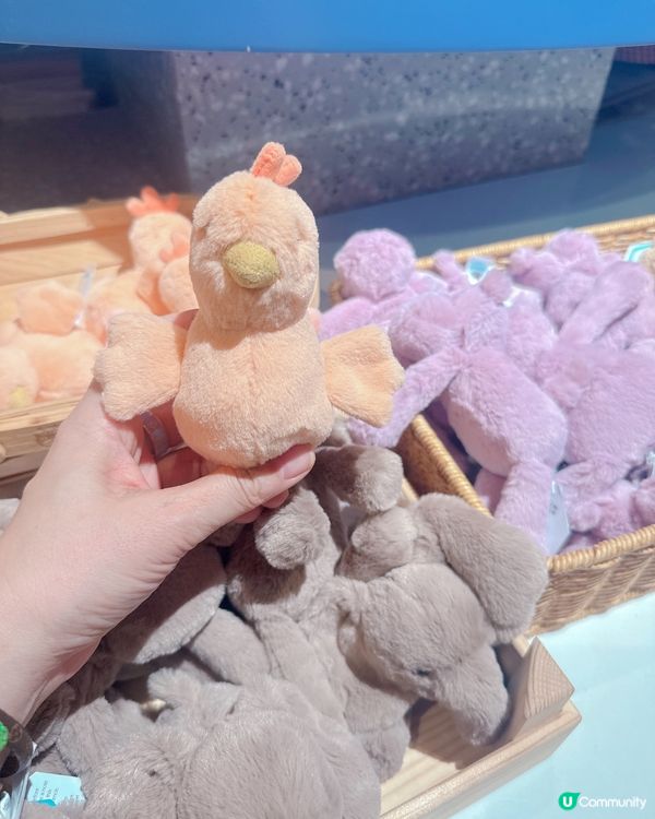 ✨Jelly Cat 岀現深圳 ✨勁多款式比你揀💥