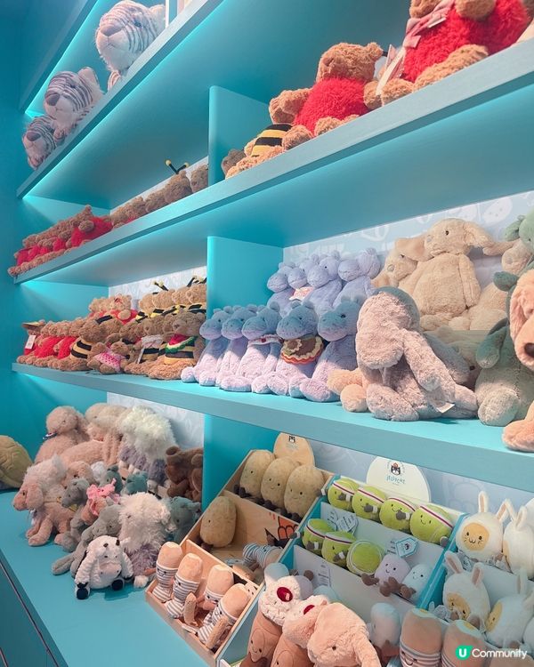 ✨Jelly Cat 岀現深圳 ✨勁多款式比你揀💥