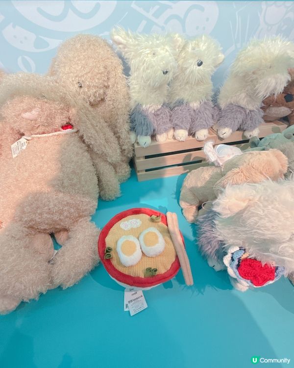 ✨Jelly Cat 岀現深圳 ✨勁多款式比你揀💥