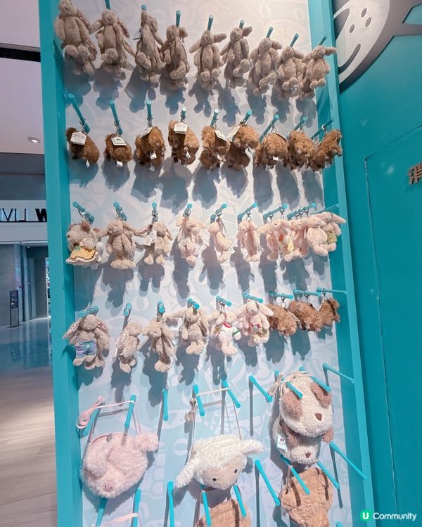 ✨Jelly Cat 岀現深圳 ✨勁多款式比你揀💥