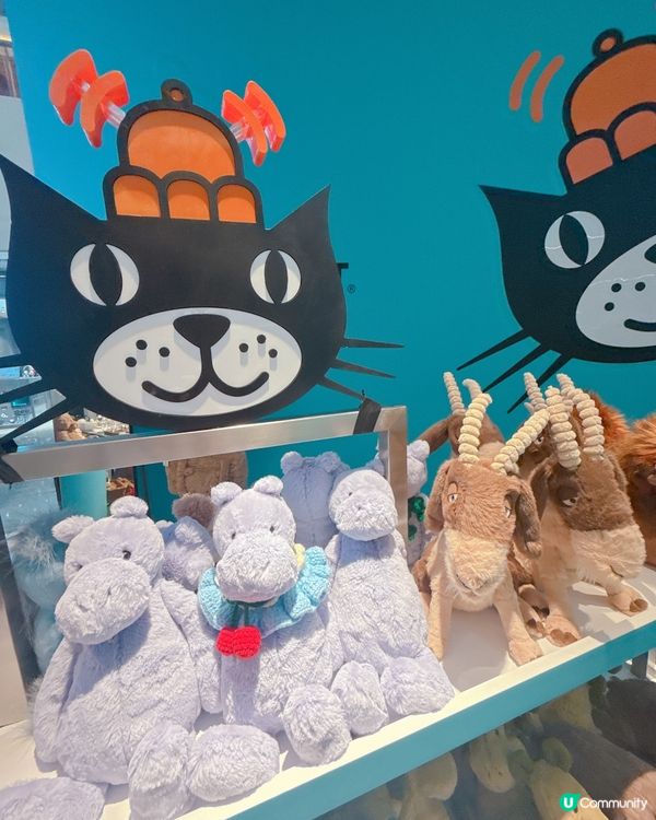 ✨Jelly Cat 岀現深圳 ✨勁多款式比你揀💥