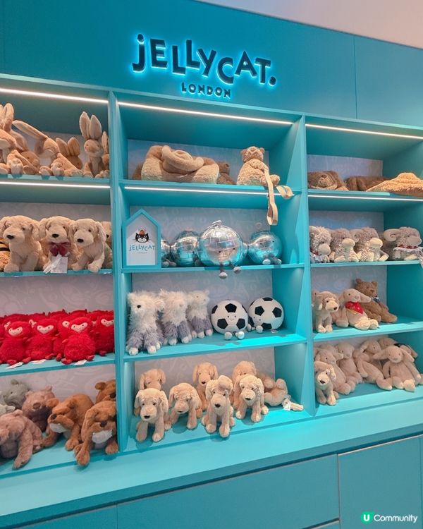 ✨Jelly Cat 岀現深圳 ✨勁多款式比你揀💥