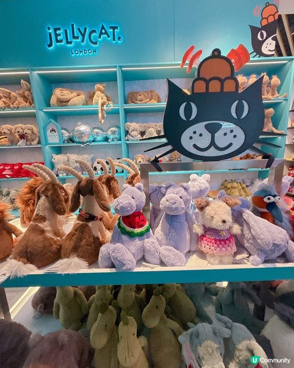 ✨Jelly Cat 岀現深圳 ✨勁多款式比你揀💥