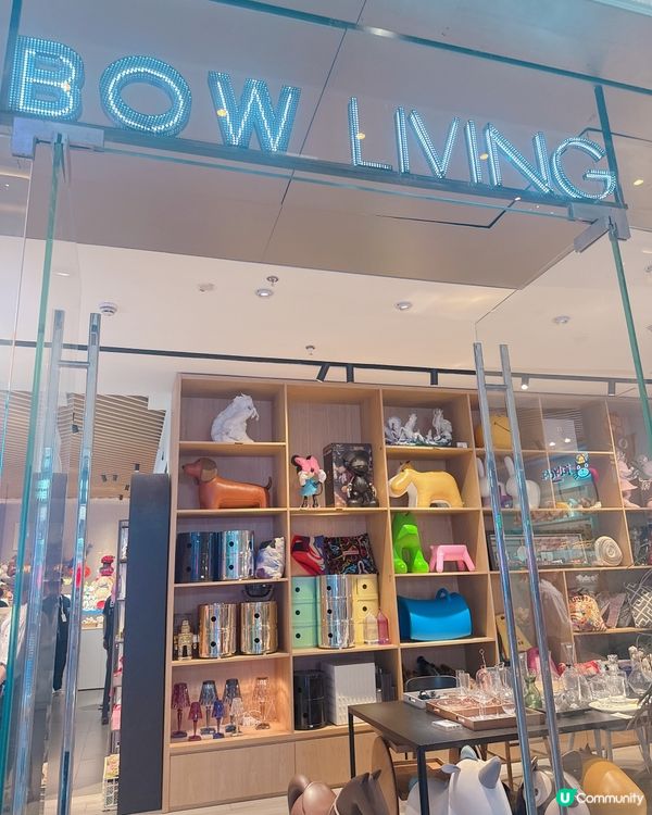 ✨Jelly Cat 岀現深圳 ✨勁多款式比你揀💥