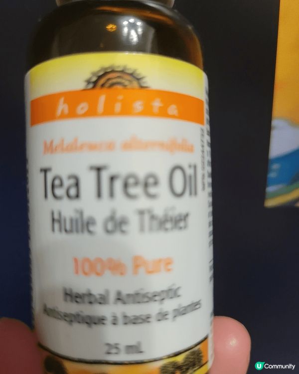 holista tea tree oil
