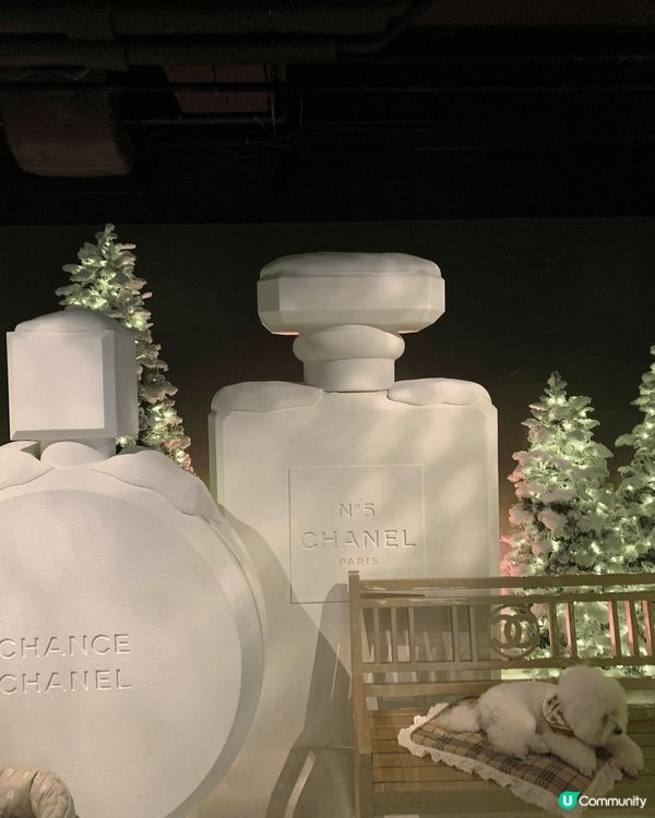 Chanel護膚有一手