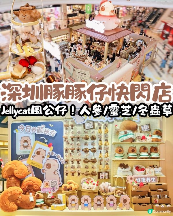 深圳豚豚仔快閃店📍Jellycat風公仔！人參/靈芝/冬蟲草/雪蓮都有😍即睇活動詳情‼️