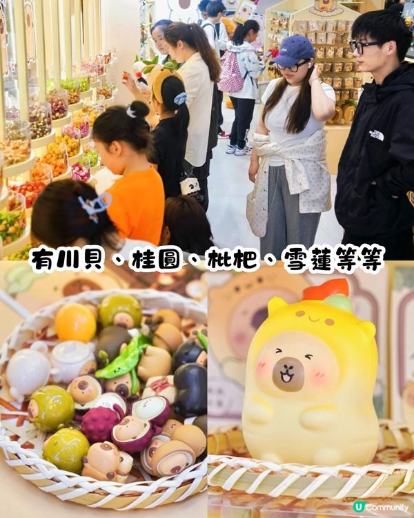 深圳豚豚仔快閃店📍Jellycat風公仔！人參/靈芝/冬蟲草/雪蓮都有😍即睇活動詳情‼️