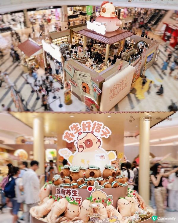 深圳豚豚仔快閃店📍Jellycat風公仔！人參/靈芝/冬蟲草/雪蓮都有😍即睇活動詳情‼️