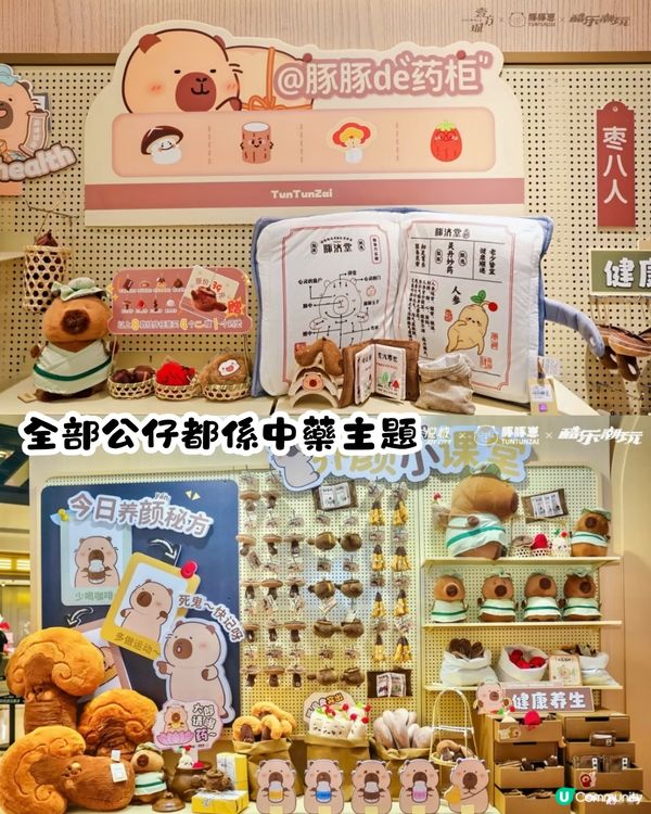 深圳豚豚仔快閃店📍Jellycat風公仔！人參/靈芝/冬蟲草/雪蓮都有😍即睇活動詳情‼️