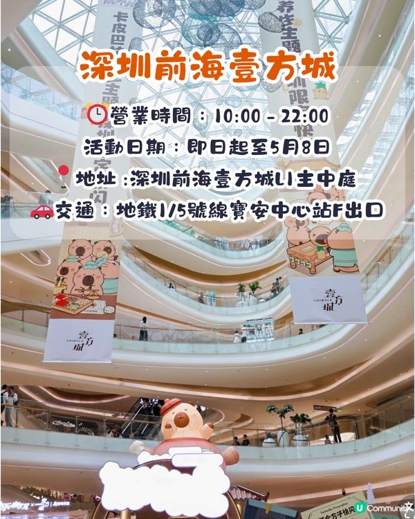 深圳豚豚仔快閃店📍Jellycat風公仔！人參/靈芝/冬蟲草/雪蓮都有😍即睇活動詳情‼️