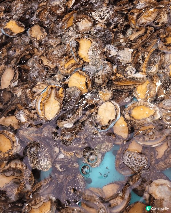 淘大商場千海水產，海鮮火鍋自助餐，三百多元就可食盡鮑魚，蝦，...