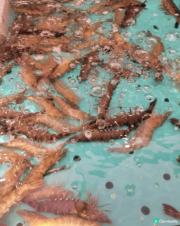 淘大商場千海水產，海鮮火鍋自助餐，三百多元就可食盡鮑魚，蝦，...