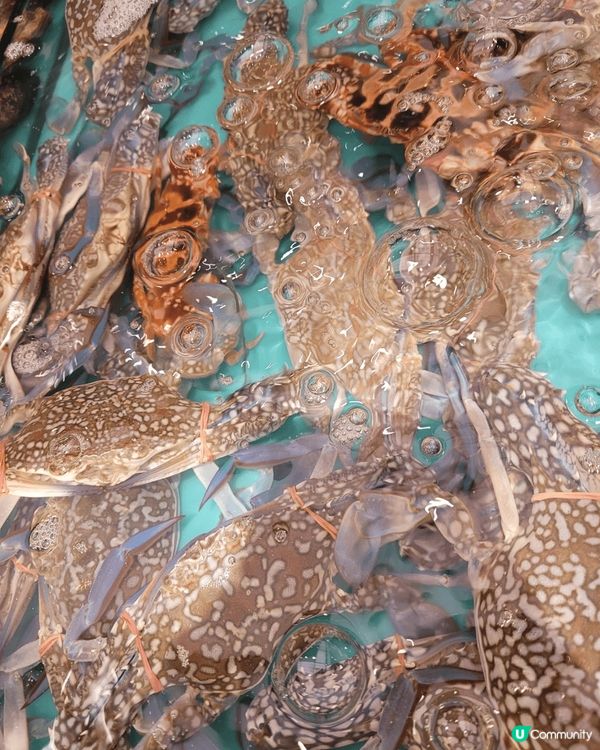 淘大商場千海水產，海鮮火鍋自助餐，三百多元就可食盡鮑魚，蝦，...