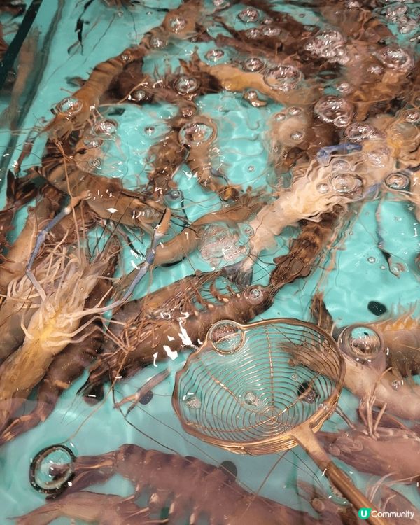 淘大商場千海水產，海鮮火鍋自助餐，三百多元就可食盡鮑魚，蝦，...