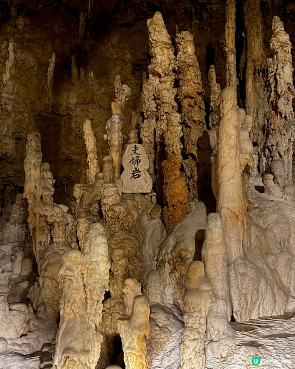 沖繩親子遊 | 沖繩南部行程 x 沖繩最大鐘乳右洞「玉泉洞」