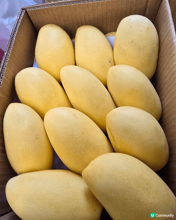 夏天最好食嘅生果有士多啤梨,芒果,同埋好好食嘅桃駁梨。