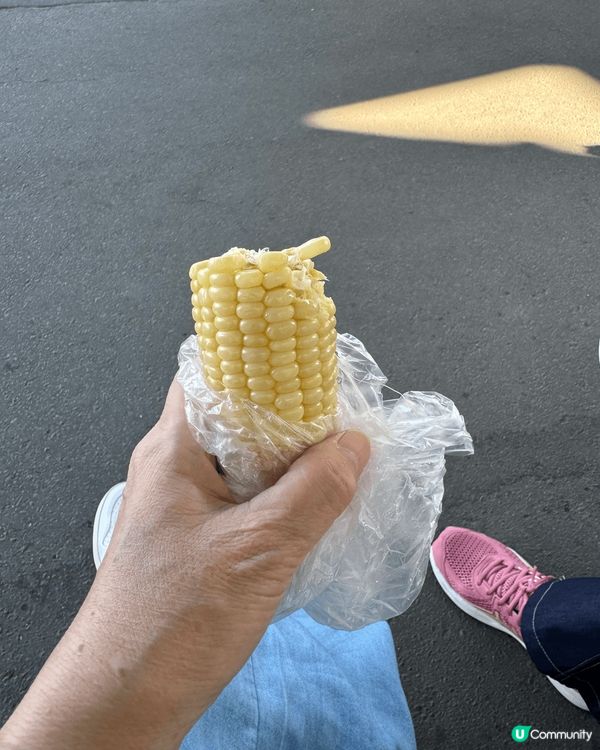 北海道富良野最出名嘅密瓜雪糕同埋粟米、pancake。