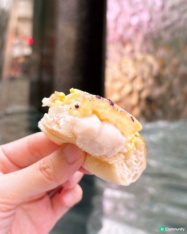 🎏人氣布丁包🔥由北角開到銅鑼灣‼️銅鑼灣食到好方便🤩