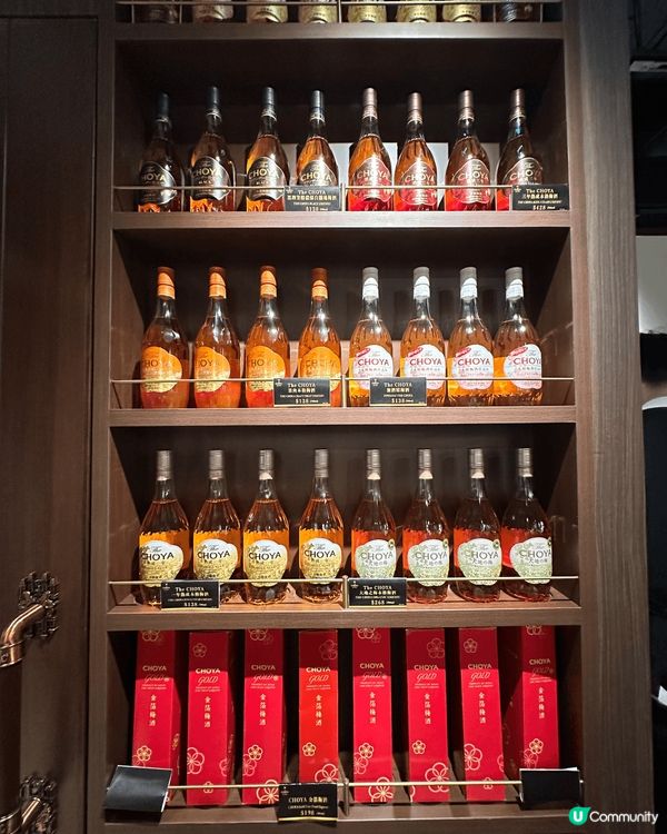 銅鑼灣開咗全港首間日本梅酒專門 BAR「The CHOYA ...
