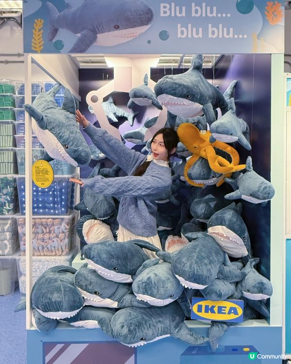 宜家50周年展覽🎉  免費入場！