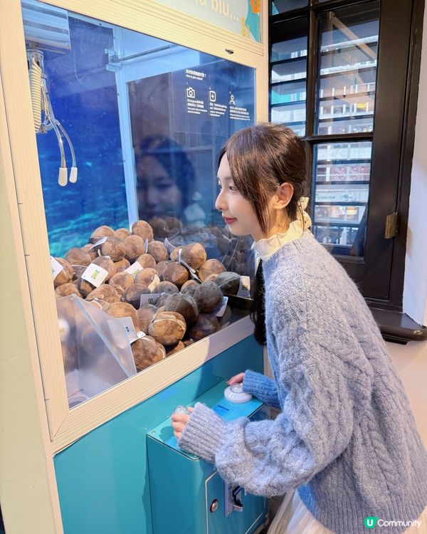 宜家50周年展覽🎉  免費入場！