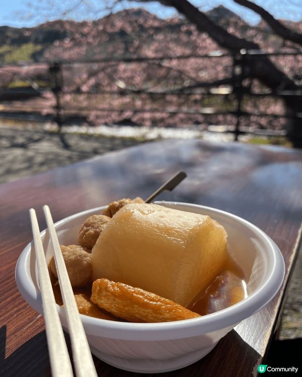 Japan food is always the best....