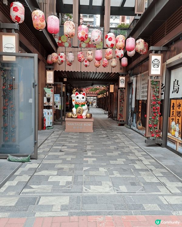 位於紅磡啟岸- 日光之茶🌟， 我最喜愛嘅乳酪系列🧋 :芒果乳...