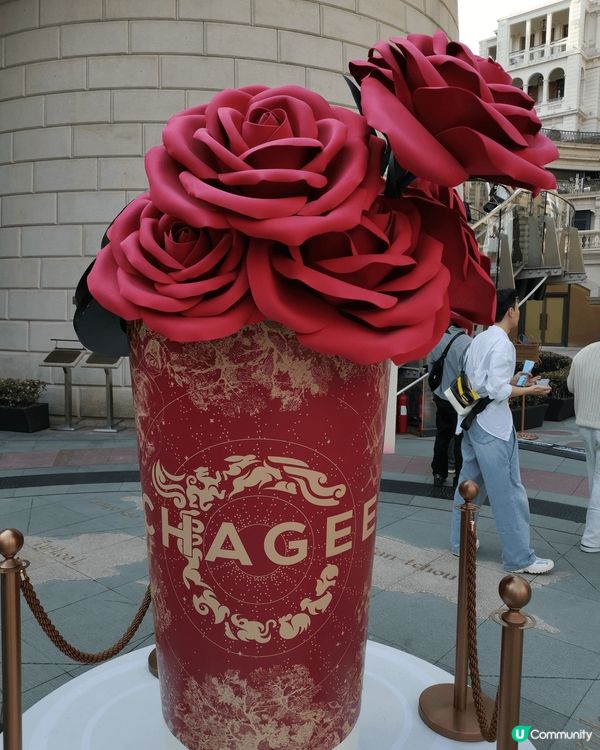 此玫瑰茶杯位於尖沙咀1881又可以打卡又可以上去follow...