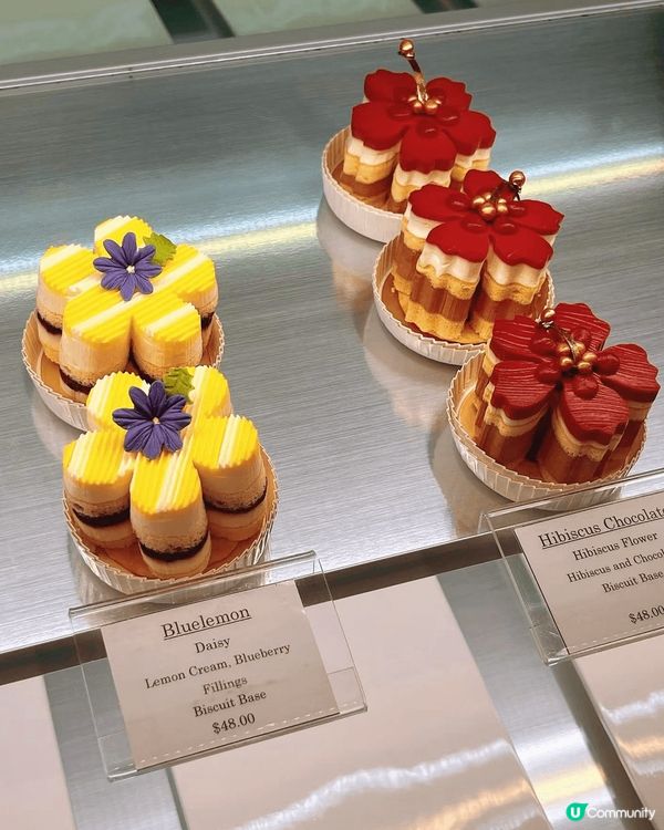 明星推介！靚靚袁詠儀最愛嘅Zoe cake，高顏值蛋糕造型超...