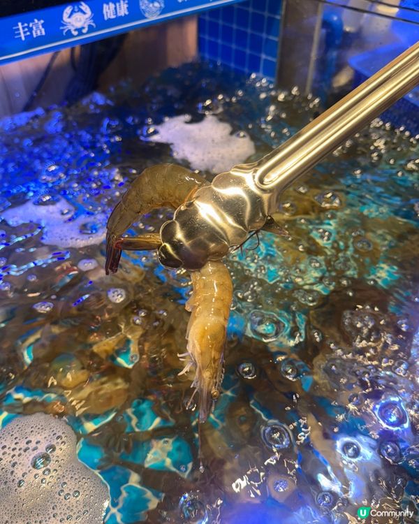 🦀🦐泰式火鍋放題任食！即撈海鮮，鮮甜爆汁！😋