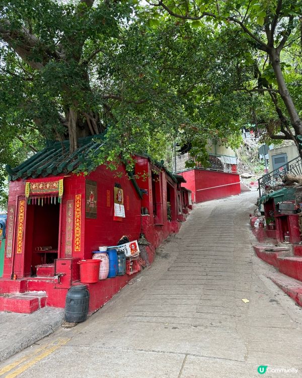 香港仔島聚🤩玩轉漁港文化