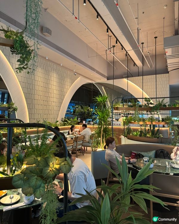 南山Auvers🇦🇺澳洲過江龍打卡Brunch