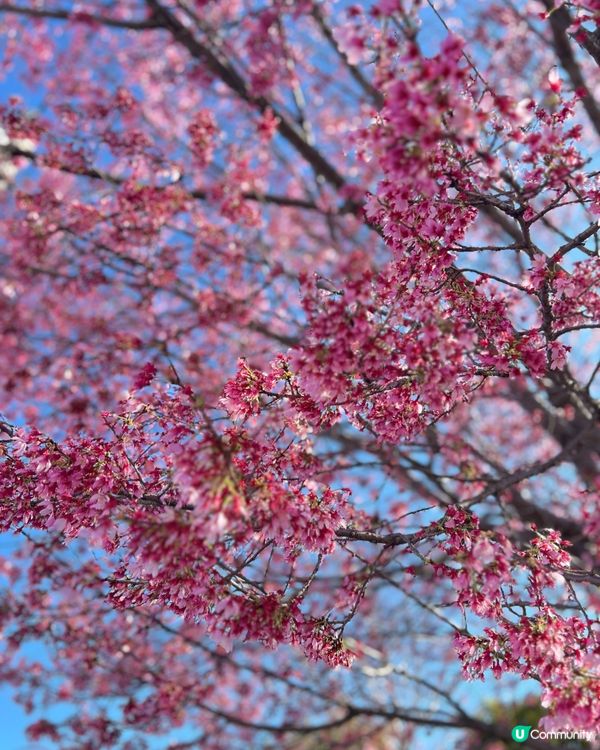 0死角富士山🗻之美