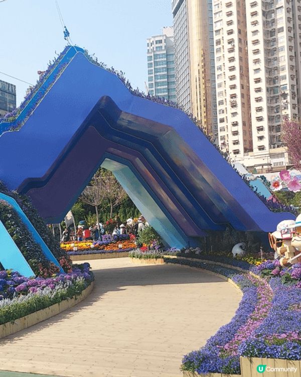 打卡熱點：維園花卉展覽2025， 園藝設計美輪美奐，同時欣賞...