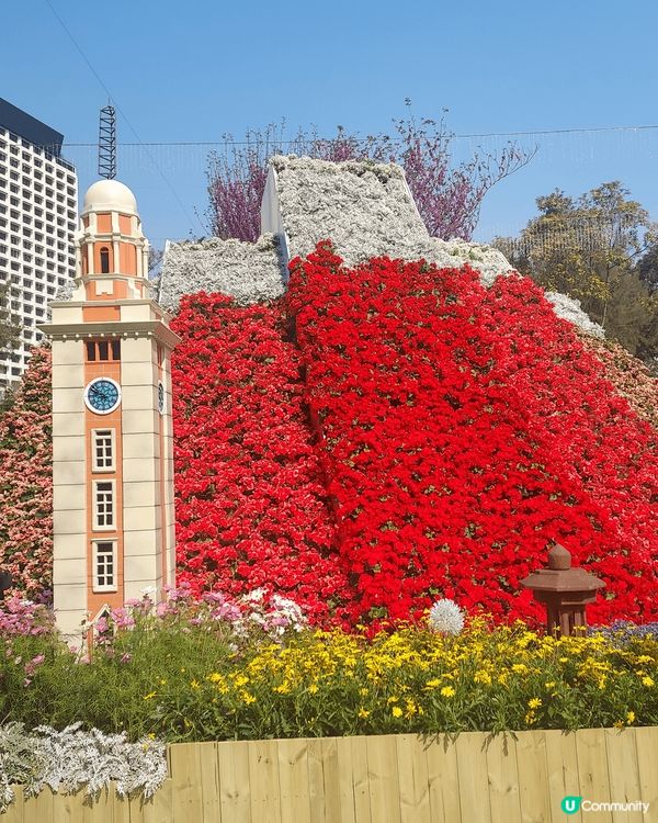 打卡熱點：維園花卉展覽2025， 園藝設計美輪美奐，同時欣賞...