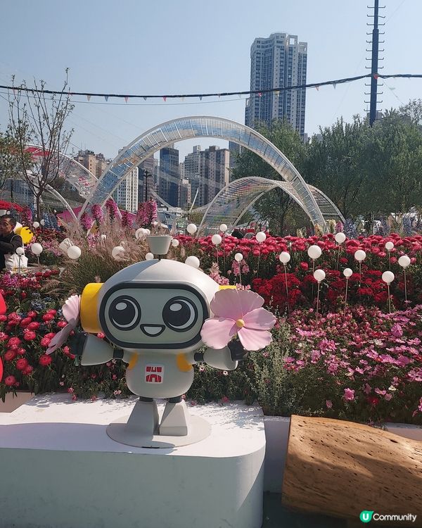 打卡熱點：維園花卉展覽2025， 園藝設計美輪美奐，同時欣賞...