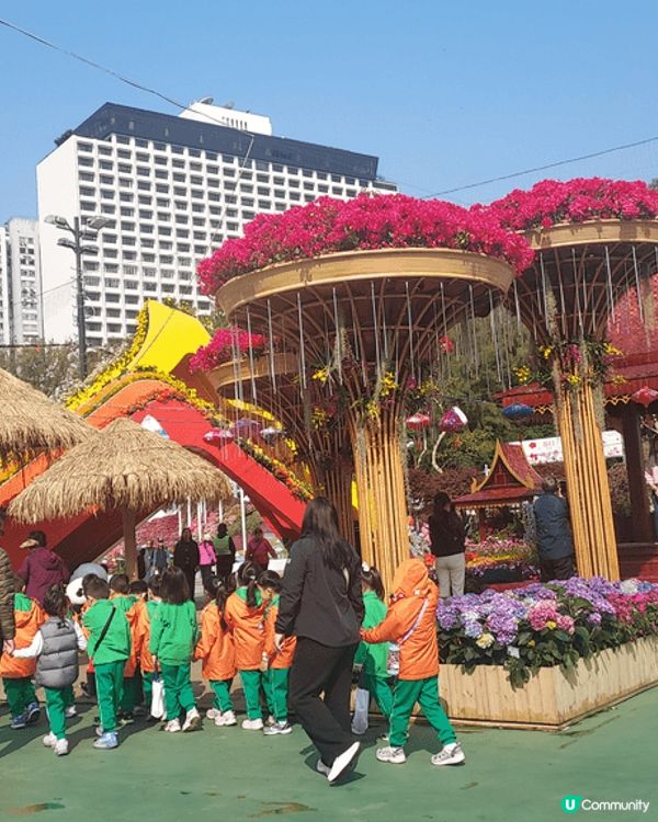 打卡熱點：維園花卉展覽2025， 園藝設計美輪美奐，同時欣賞...