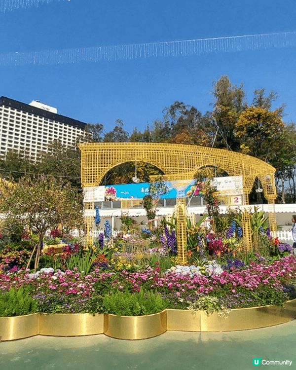 打卡熱點：維園花卉展覽2025， 園藝設計美輪美奐，同時欣賞...