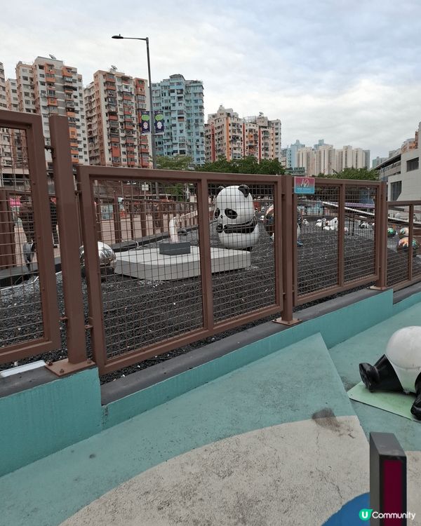 熊貓，熊貓，全部都係熊貓。來到觀塘一定要去尼到打卡。可愛的熊...