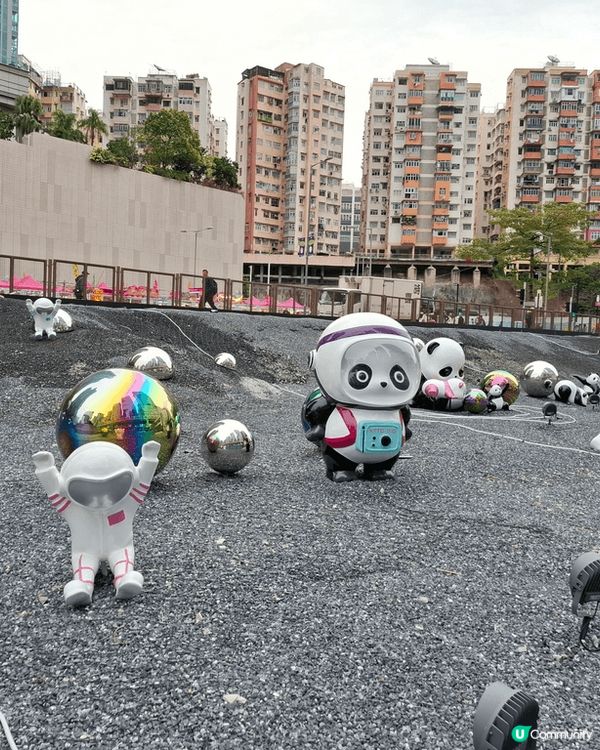 熊貓，熊貓，全部都係熊貓。來到觀塘一定要去尼到打卡。可愛的熊...