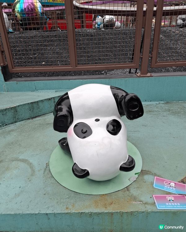 熊貓，熊貓，全部都係熊貓。來到觀塘一定要去尼到打卡。可愛的熊...