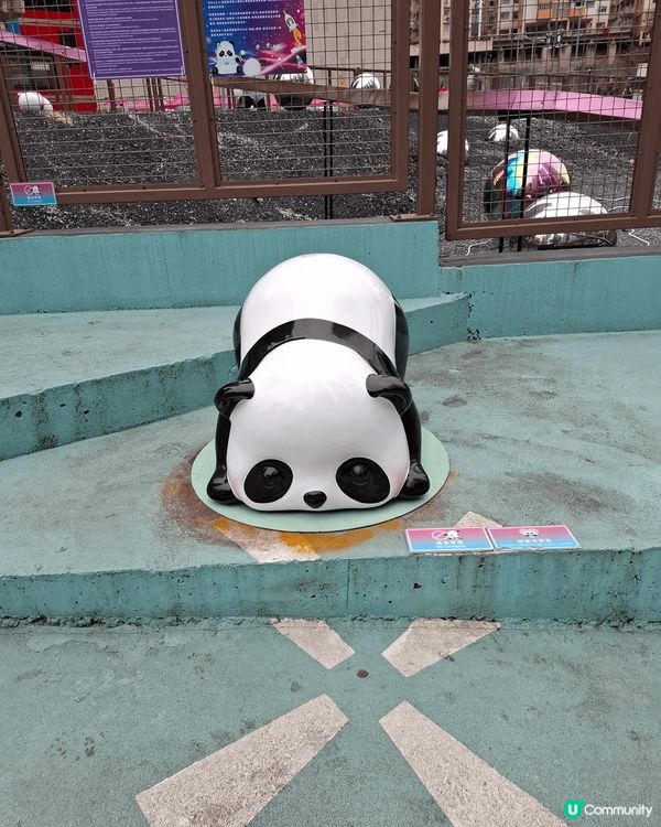 熊貓，熊貓，全部都係熊貓。來到觀塘一定要去尼到打卡。可愛的熊...