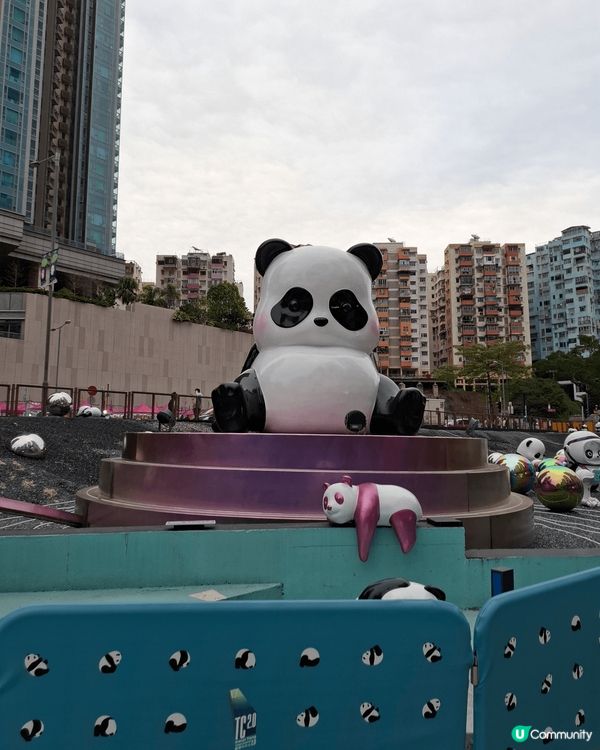 熊貓，熊貓，全部都係熊貓。來到觀塘一定要去尼到打卡。可愛的熊...
