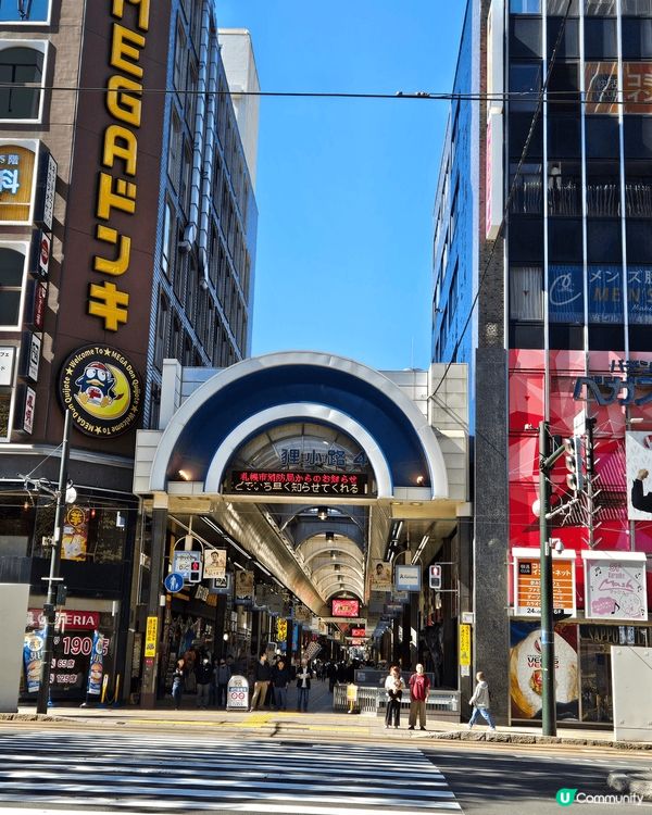 北海道嘅花真係好靚 隨便 喺札幌大通逛一逛已經好多 七彩繽紛...