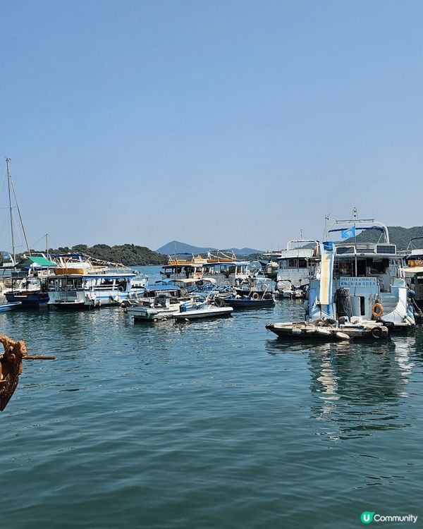 好耐都冇你返工去哪裏覺得關係多咗好多舖頭咖啡店又多咗好多小食...