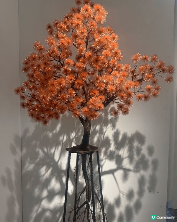 上環PMQ 好多藝術品看，免費入場，好岩放假去行下