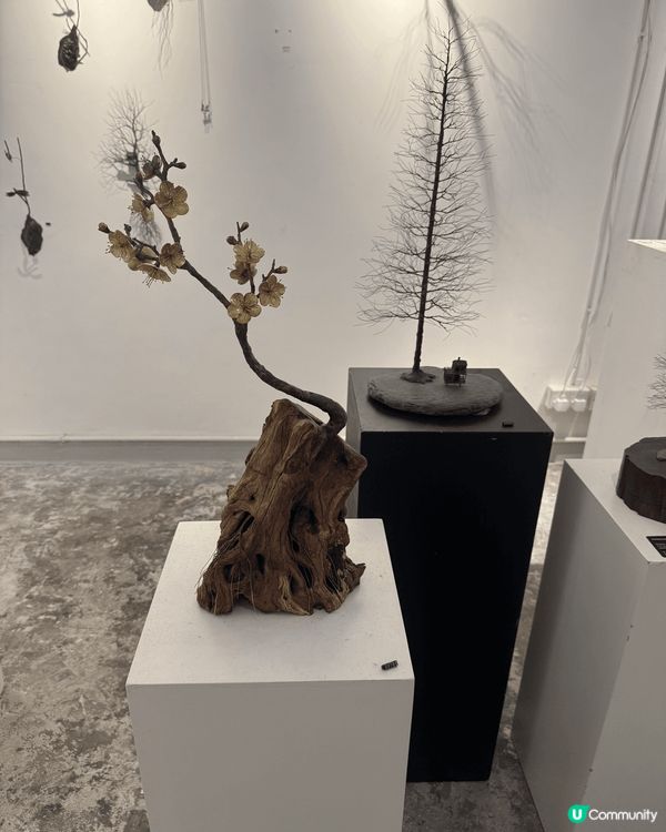 上環PMQ 好多藝術品看，免費入場，好岩放假去行下